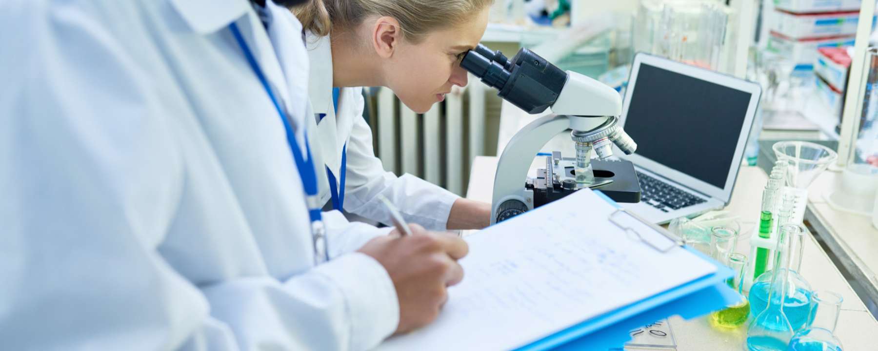 El Sistema de Gestión de Calidad y la Norma ISO 9001 (parte II)