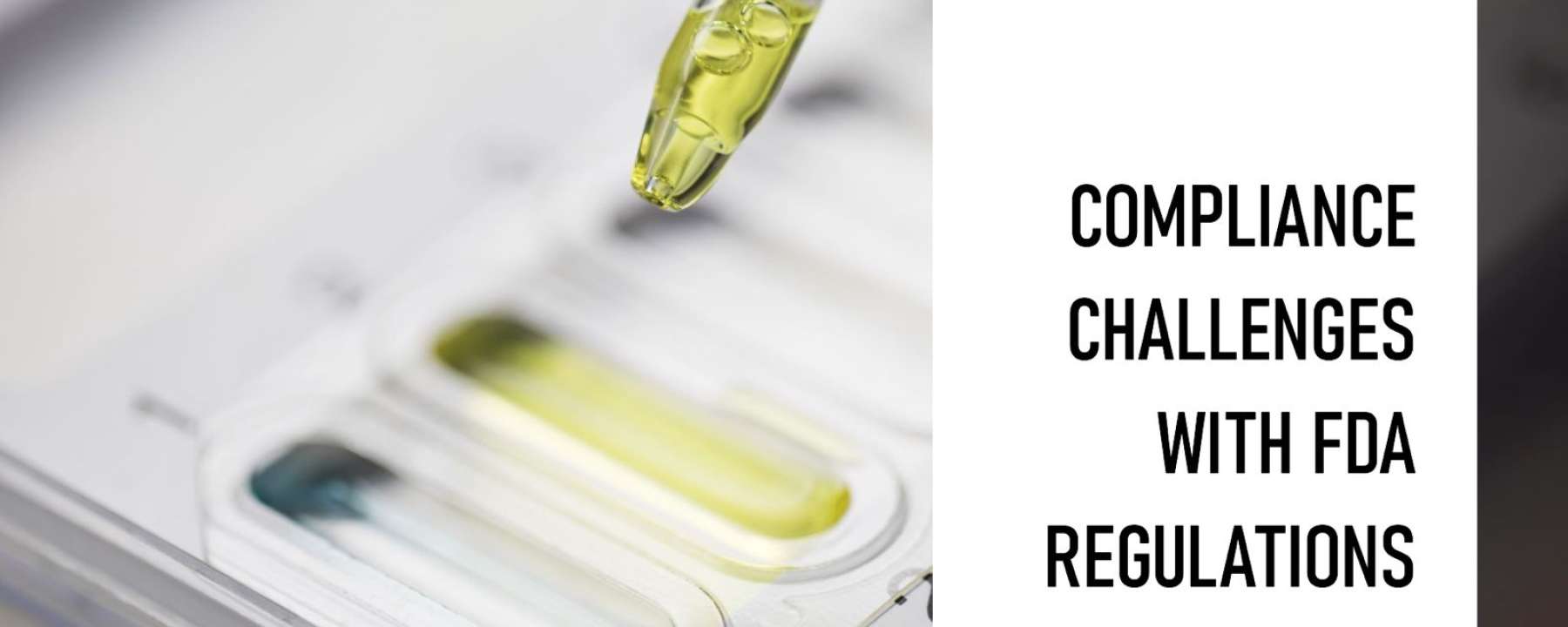 Regulaciones y Cumplimiento de la FDA: Garantizando la Seguridad en la Industria